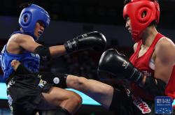 LOL赛事-世界聚焦！拳击赛事全球收视创新高