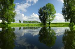 英雄联盟总决赛直播-莫兰特满分之日，独行侠却拆解了个人英雄主义