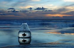 英雄联盟总决赛直播-奥运周期转折点，智利黄金一代的觉醒之战