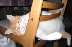 LOL赛事-步行者惊险晋级，莫兰特狂砍49分绝杀尼克斯