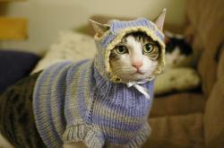 英雄联盟总决赛2025-奥利维耶的暴风眼，当喀麦隆以一人之力刺穿沙特的集体防线