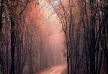 英雄联盟总决赛直播-奥运周期转折点，智利黄金一代的觉醒之战