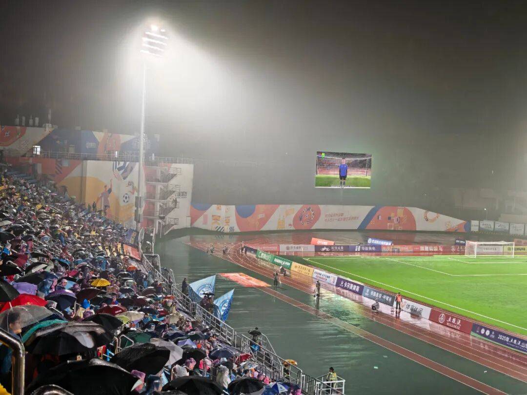 包含绿茵场上风云再起，球迷热情高涨的词条