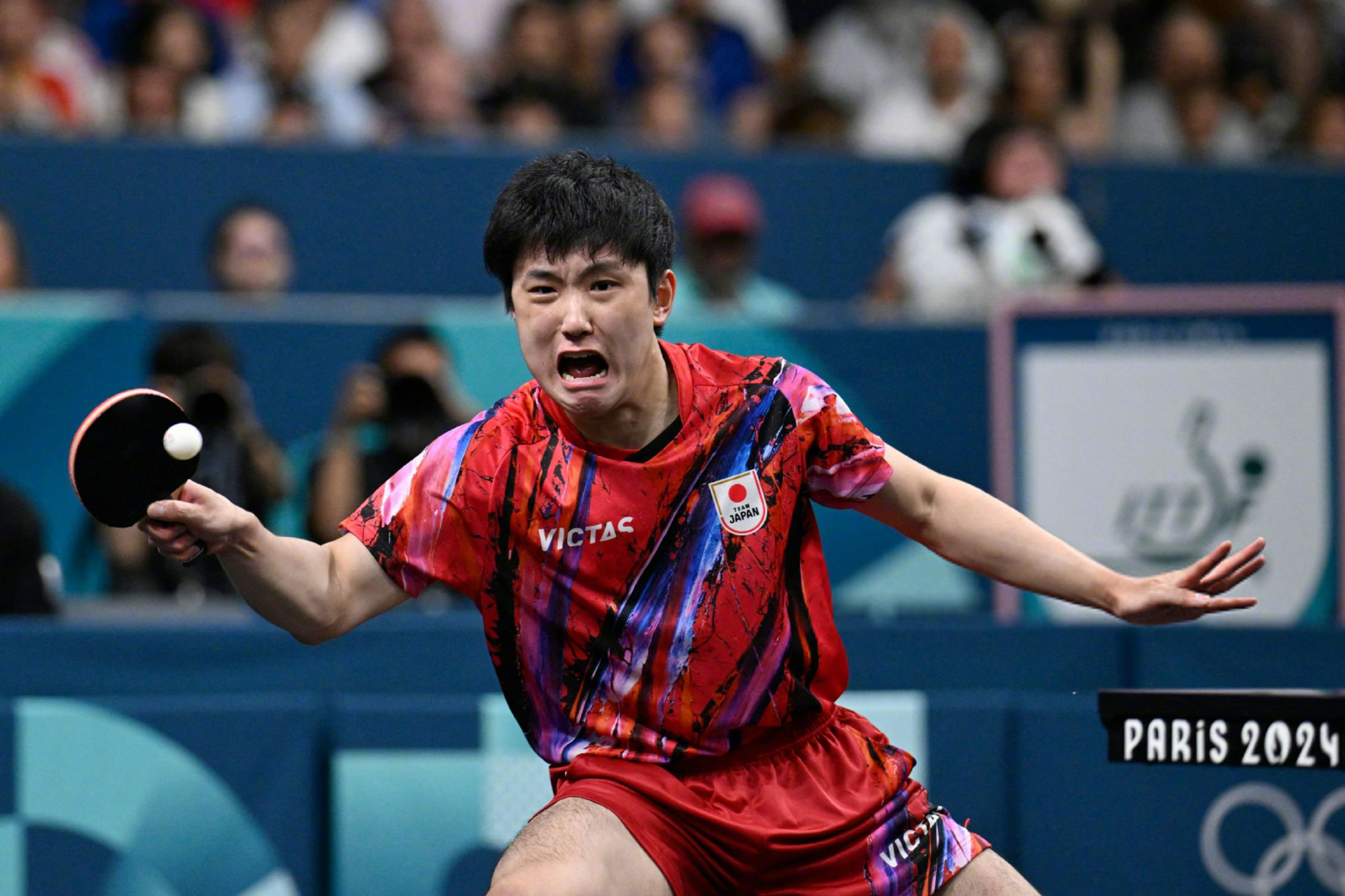 包含日本队完胜中国队,张本智和高光表现的词条 包含日本队完胜中国队,张本智和高光表现的词条