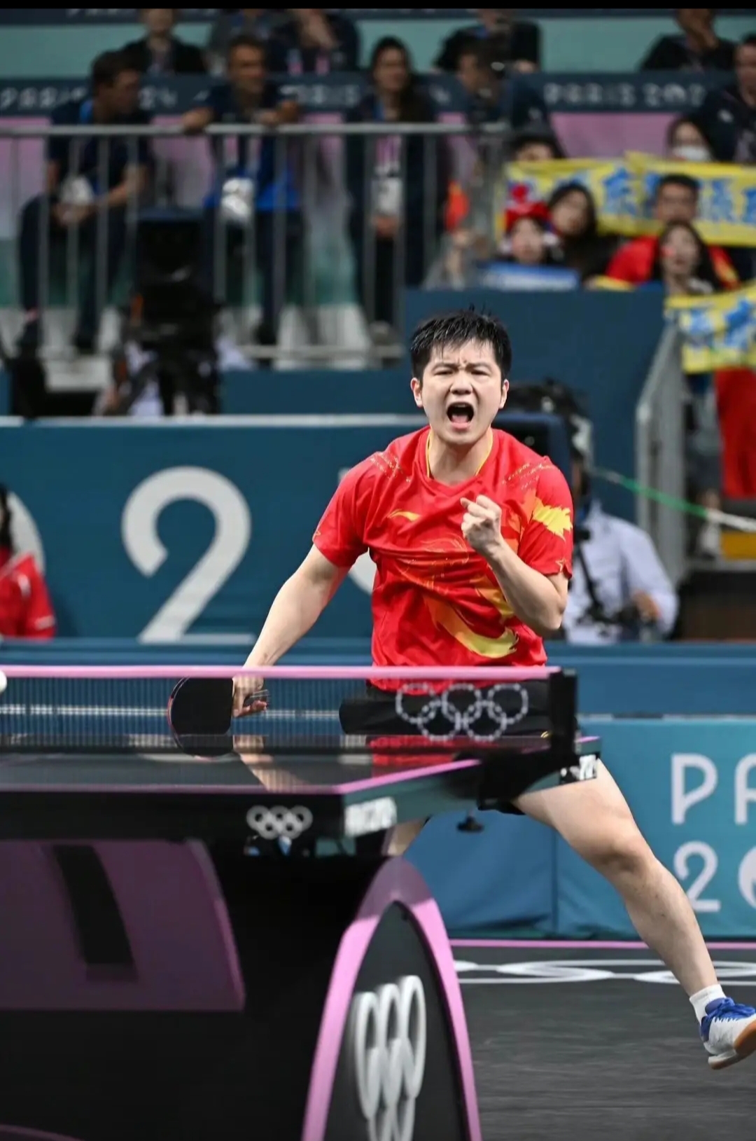 瑞典队力克德国队，樊振东高光表现