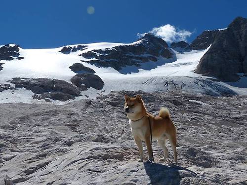 时光交错的绿茵传奇，当佛罗伦萨速胜克罗地亚，库尔图瓦于平行赛场烈焰加身