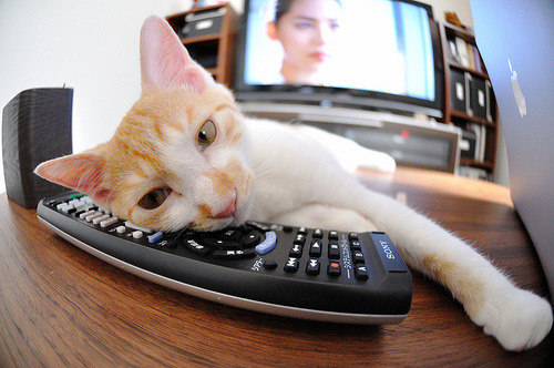 吉林寒风吹不灭的地火,小贾伦用沉默凿穿雪山般的金州勇士