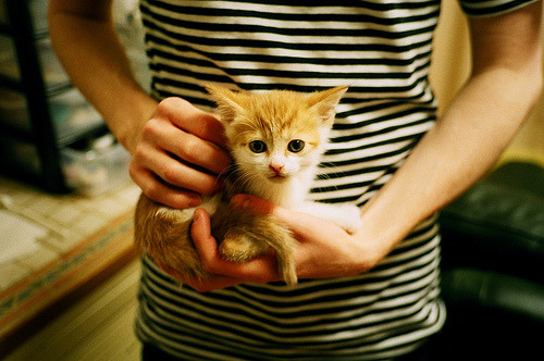 意式狂飙VS大洋洲闪电,F1年度争冠的那不勒斯-新西兰血拼战