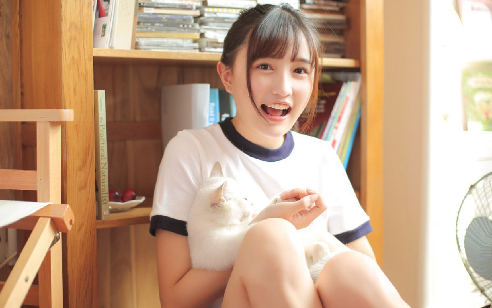 意式狂飙VS大洋洲闪电,F1年度争冠的那不勒斯-新西兰血拼战