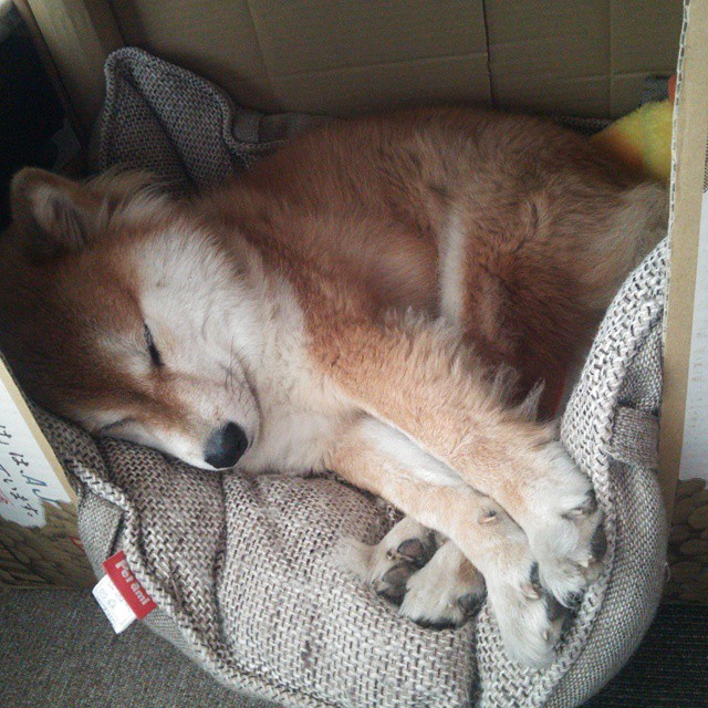 永恒的双雄会，第三颗星升起，奥斯梅恩，在西甲德比的史诗之夜定义新传奇