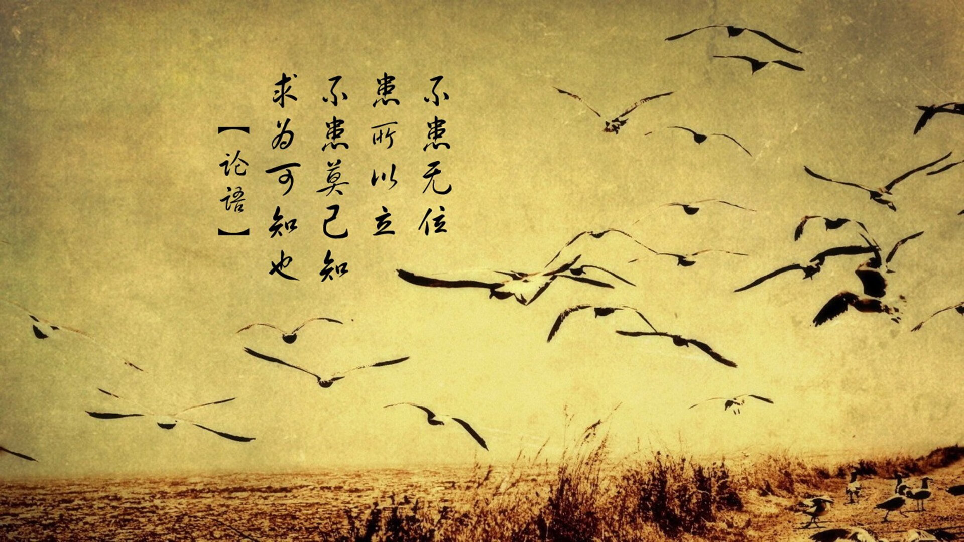 巅峰对决!篮球欧冠惊现诺坎普,新疆力斩快船,布伦森接管淘汰赛