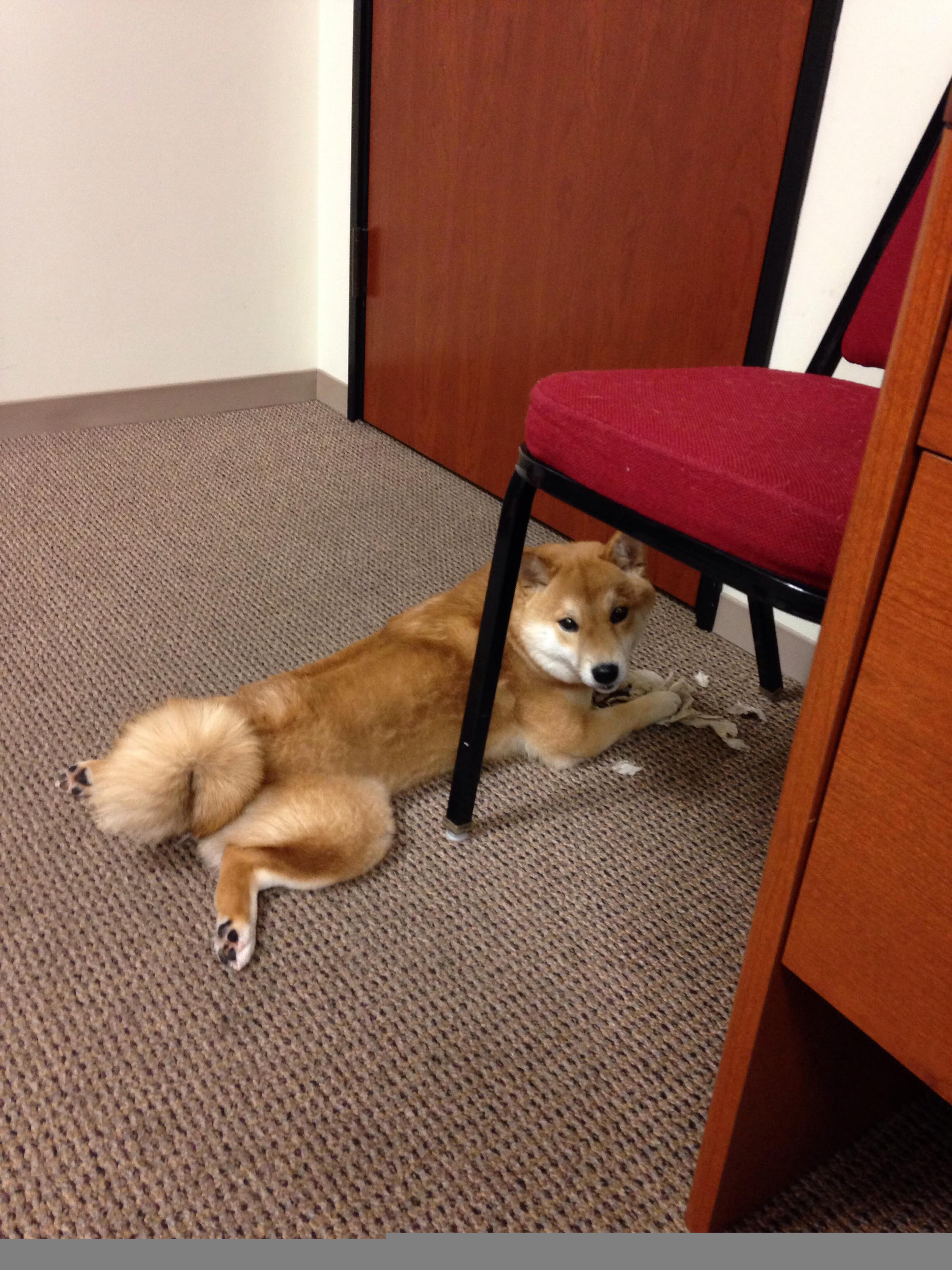 钢铁防线,乌克兰如何用民族意志的铁索连环,在美加墨世界杯的想象战场上锁死皇马式美学