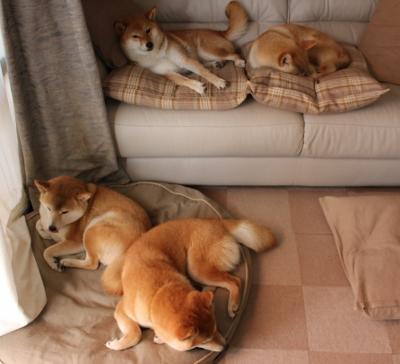 风暴与手术刀,当姆巴佩的爆发遭遇塞维利亚的冲垮—足球世界的两种统治力