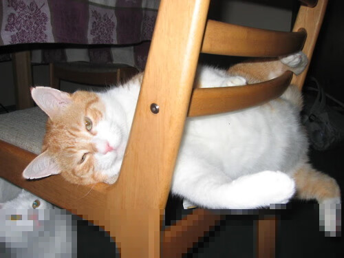 步行者惊险晋级，莫兰特狂砍49分绝杀尼克斯