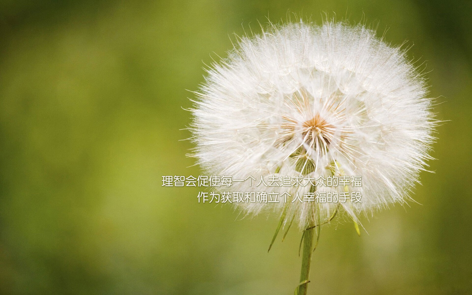 英格拉姆进攻端狂飙突进，湖人强势压制凯尔特人斩获关键胜利