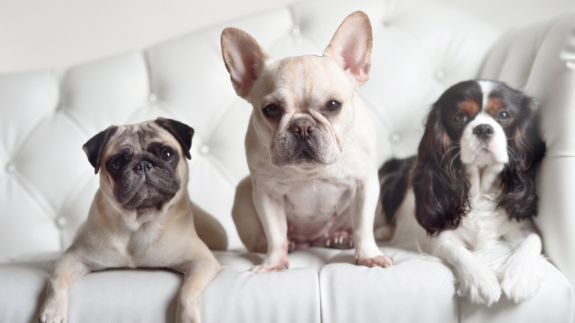 夜与布克，当世界排名悬于一线时