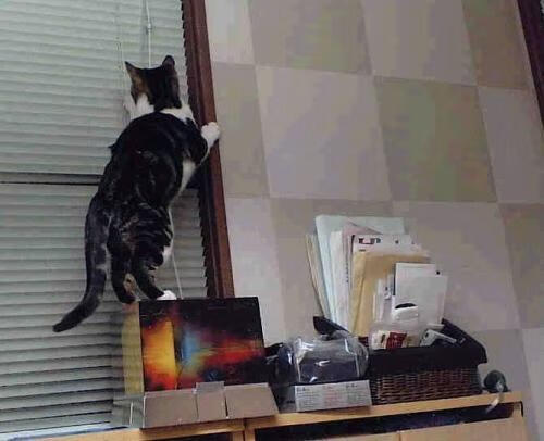 利拉德跛行34分钟，他用完好的那条腿，为掘金踩下悬崖刹车