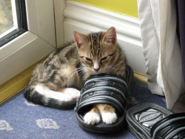 湖人之浪席卷费城,恩比德的失败关键性哲学