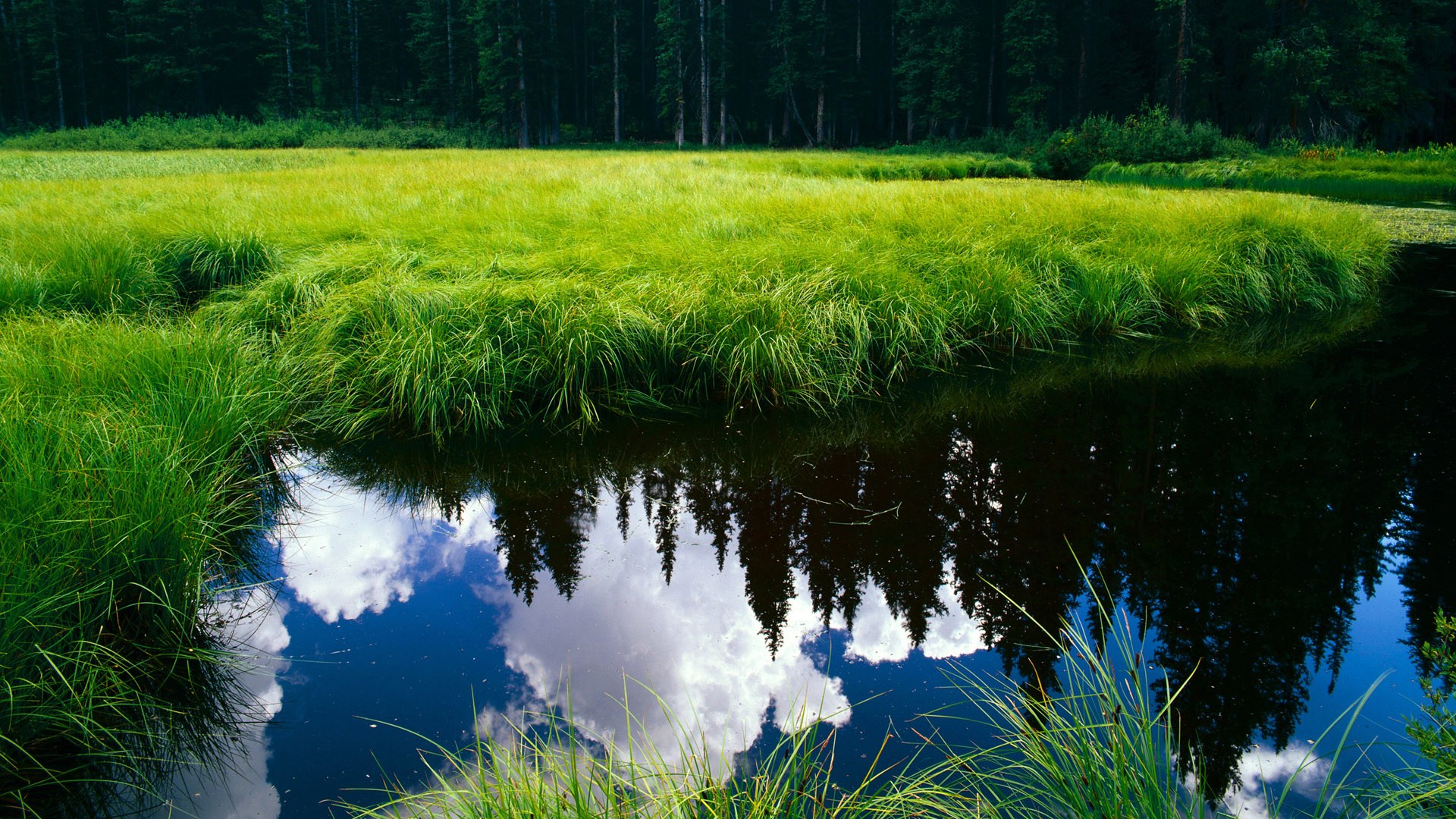 阿尔瓦雷斯闪耀之夜,委内瑞拉绝境逆转加纳的奇迹之战