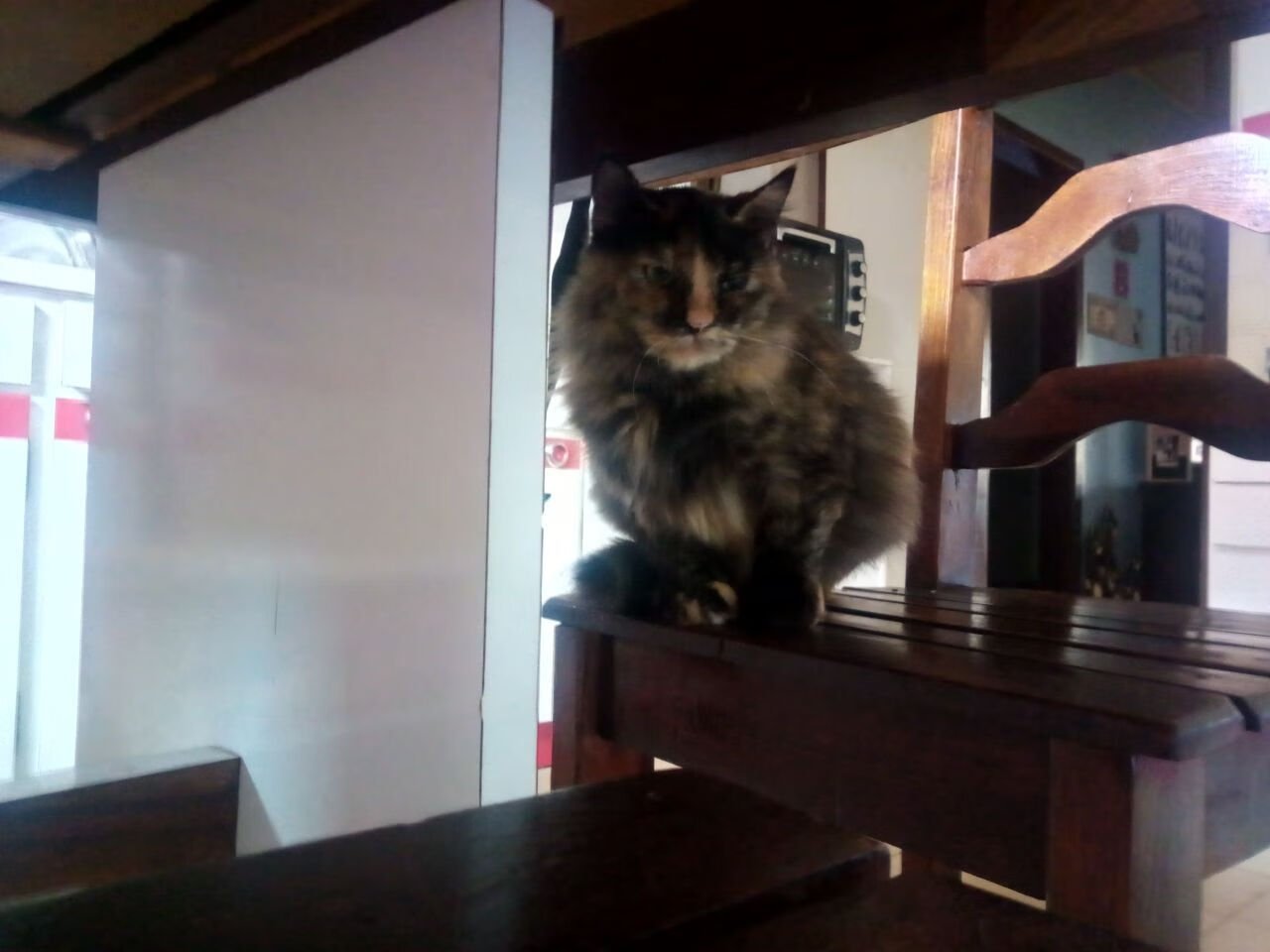 紫薇星照都灵，内马尔暗夜亮剑，尤文决胜局碾过多特蒙德