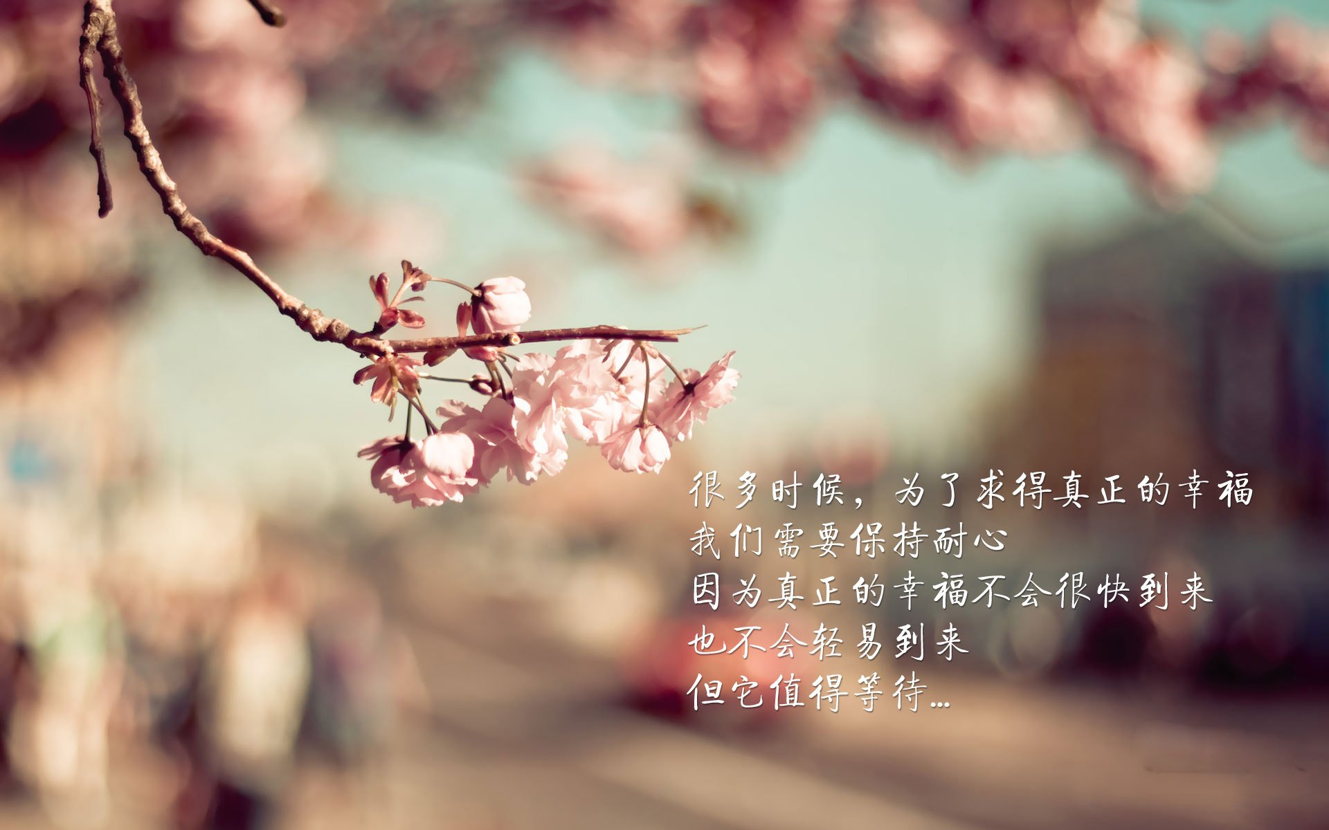 欧冠淘汰赛焦点战,爵士连续得分压制76人—当足球场上响起篮球的节奏