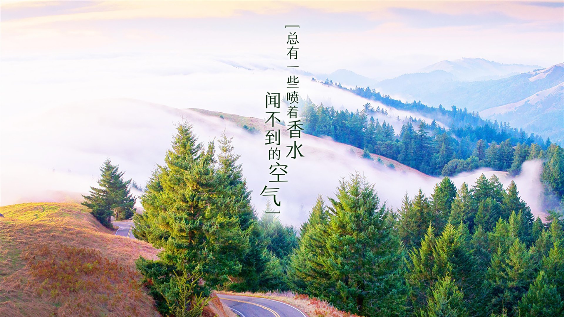 卡萨布兰卡的复仇,2026世界杯,巴雷拉的血性与罗马尼亚的钢铁意志